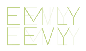 Launch of the Website