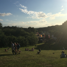 Timber Festival 2019