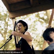 Timber Festival 2019